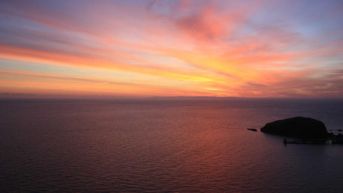 Google Ads & SEA : Optimiser le ROI de vos campagnes